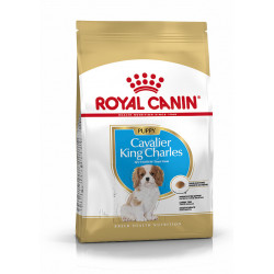 Cavalier King Charles junior bhn 1.5kg - ROYAL CANIN 