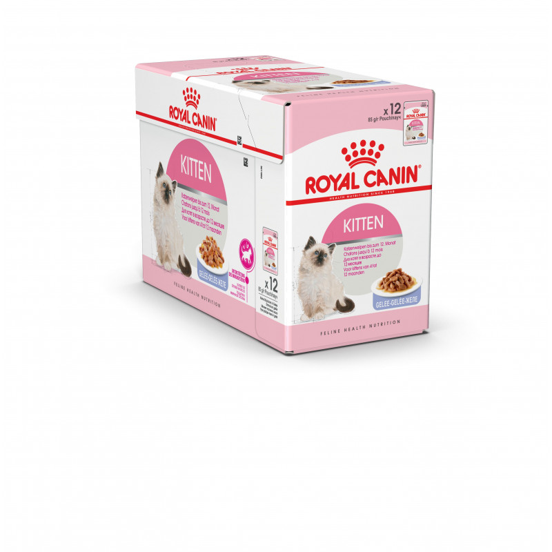 Humide chat Kitten gelée FHN wet 12x85g - ROYAL CANIN 