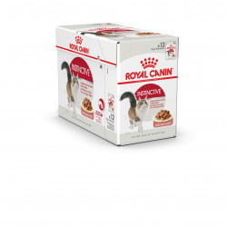Humide chat instinctive sauce FHN wet 12x85g - ROYAL CANIN 