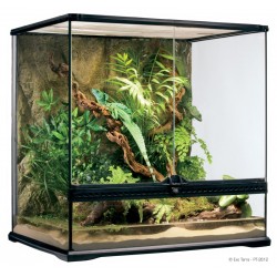 Terrarium "naturel" Exo Terra - 60x45x60 cm.