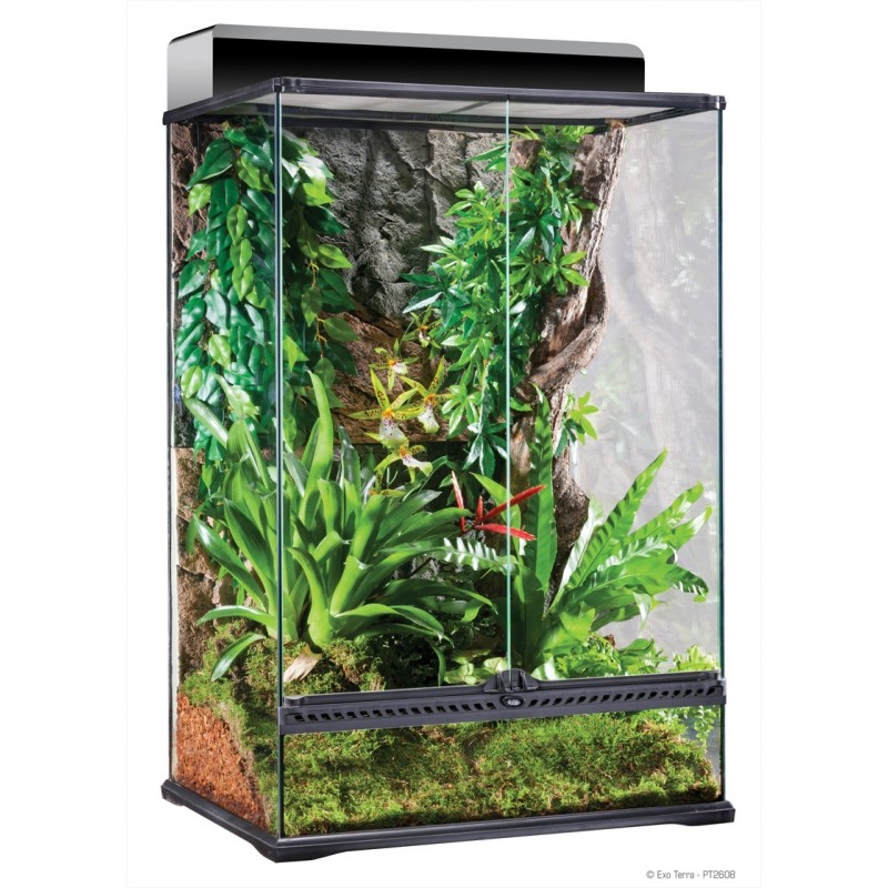 Terrarium "naturel" Exo Terra - 60x45x90 cm. Terrarium "naturel" Exo Terra - 60x45x90 cm.