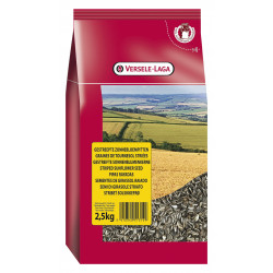 Tournesols Stries 2.5Kg - VERSELE LAGA 