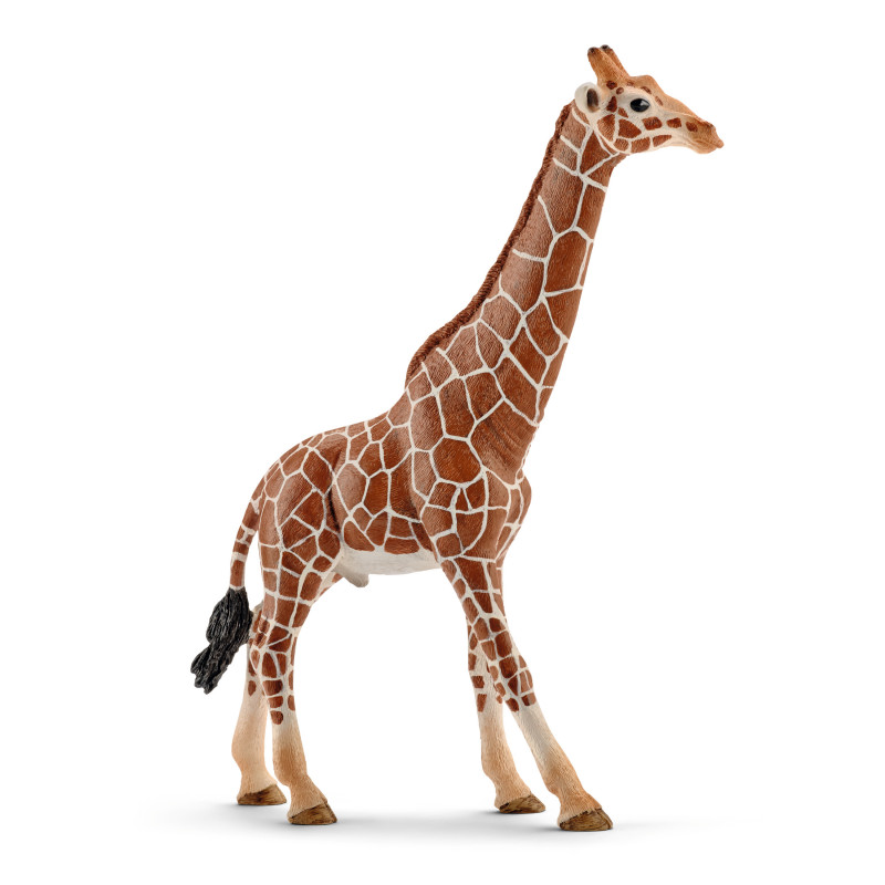 Girafe mâle h13.8 - SCHLEICH 