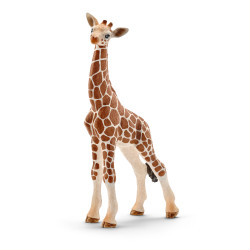 Bébé girafe h6.8 - SCHLEICH 