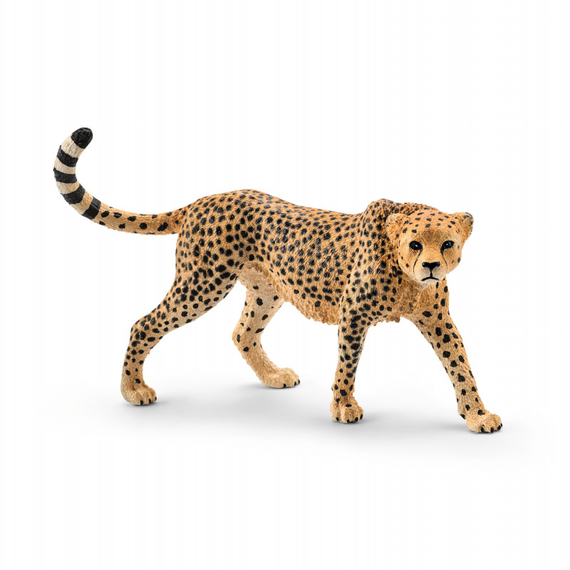 Guépard femelle h10.9 - SCHLEICH 