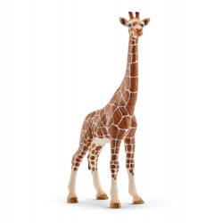 Girafe femelle h14 - SCHLEICH 