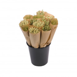 Botte de fleurs séchées graminée 