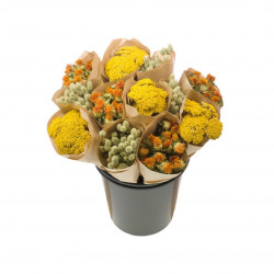 Botte de fleurs séchées jaune/vert 