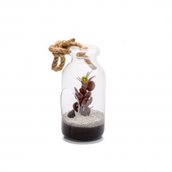 Terrarium vivant Bottle L mix