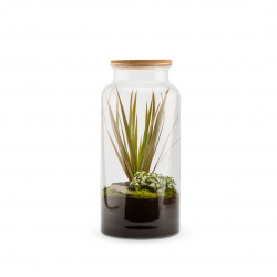 Terrarium vivant jungle L autonome bouchon liège 