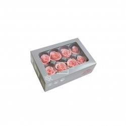 8 têtes de roses media rose pastel