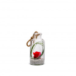 Verrine Bottle XS 
