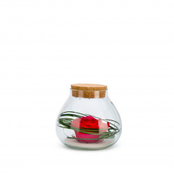 Verrine bulle light S rouge 