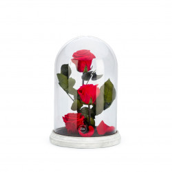 Verrine cloche socle ciment xl rouge 