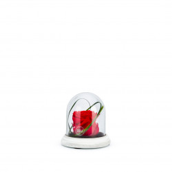 Verrine cloche socle ciment XS rouge 