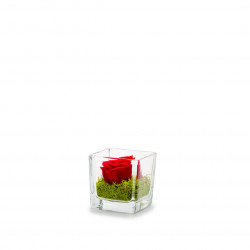Verrine Genova rouge 