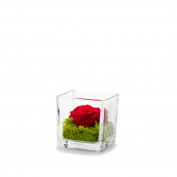 Verrine Genova rouge 