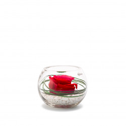 Verrine Venezia 