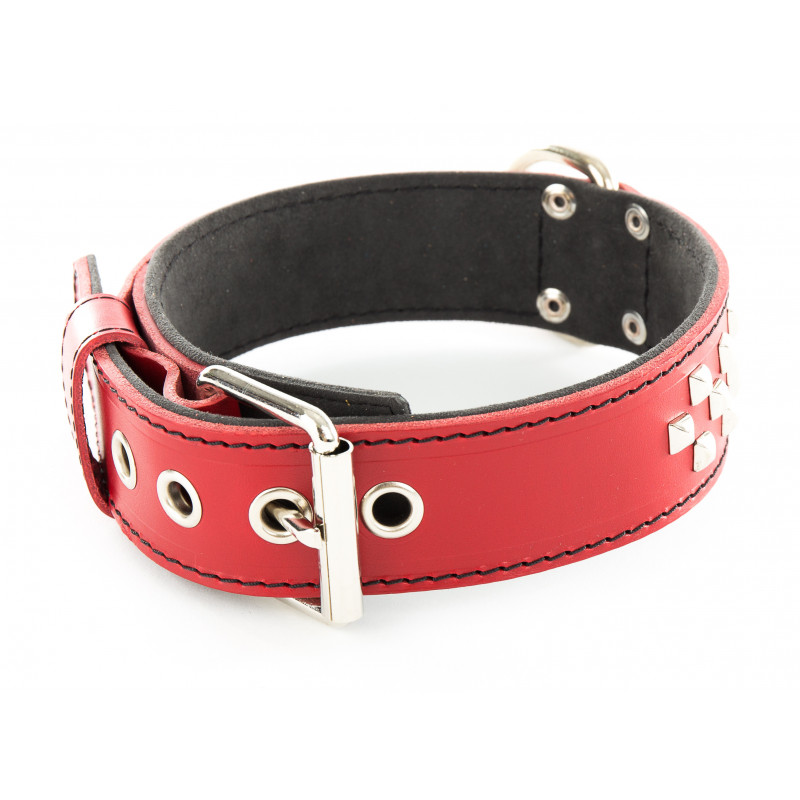 Collier cuir clouté 45mm-65 - SELLERIE VENDEENNE
