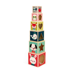 Pyramide 6 cubes - Baby forest - JANOD 