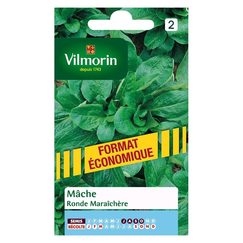 Mâche ronde Vilmorin maraîchère - grand sachet