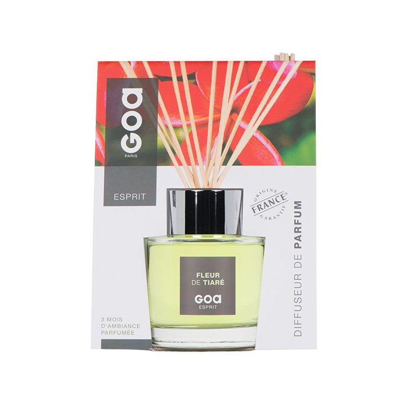 Canne à Pêche Guru Classe A 3000 – Idéale Pour La Pêche Grossière