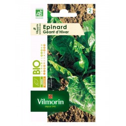 GR-EPINARD BIO GEANT D HIVER