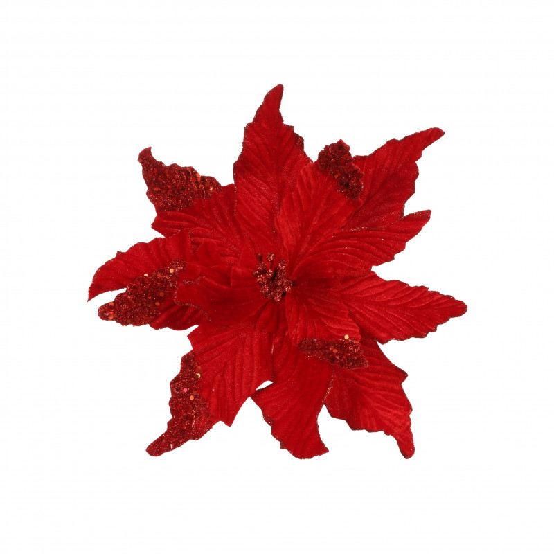 Clip poinsettia ø35x27 rouge - EDELMAN 