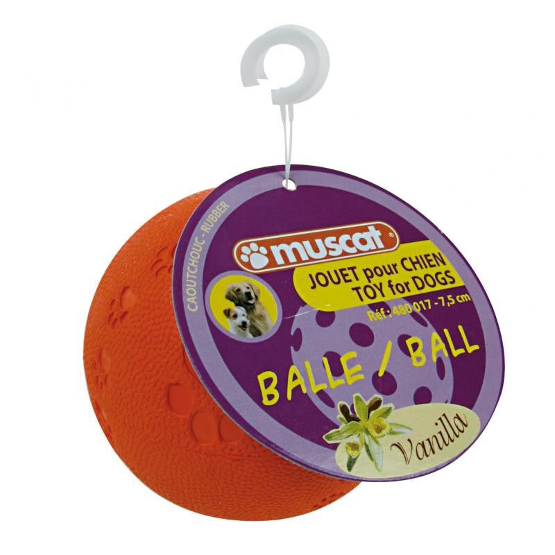 Jouets balles assorties - ZOLUX 