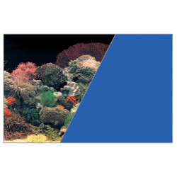Fond decor corail/bleu - ZOLUX 