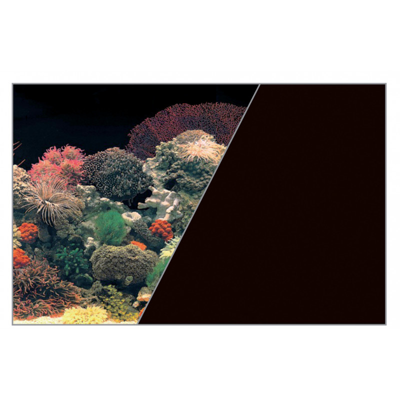 Fond decor corail/noir - ZOLUX 