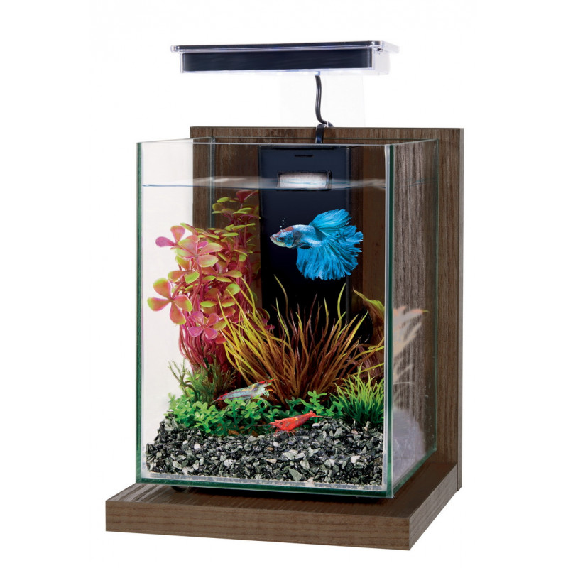 Lampes et Spots - Lampes pour Nano-Aquariums - AkouaShop : Aquarium,  matériel et accessoires d'Aquariophilie en ligne