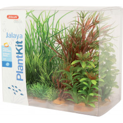 Plantkit jalaya nâ4 - ZOLUX 