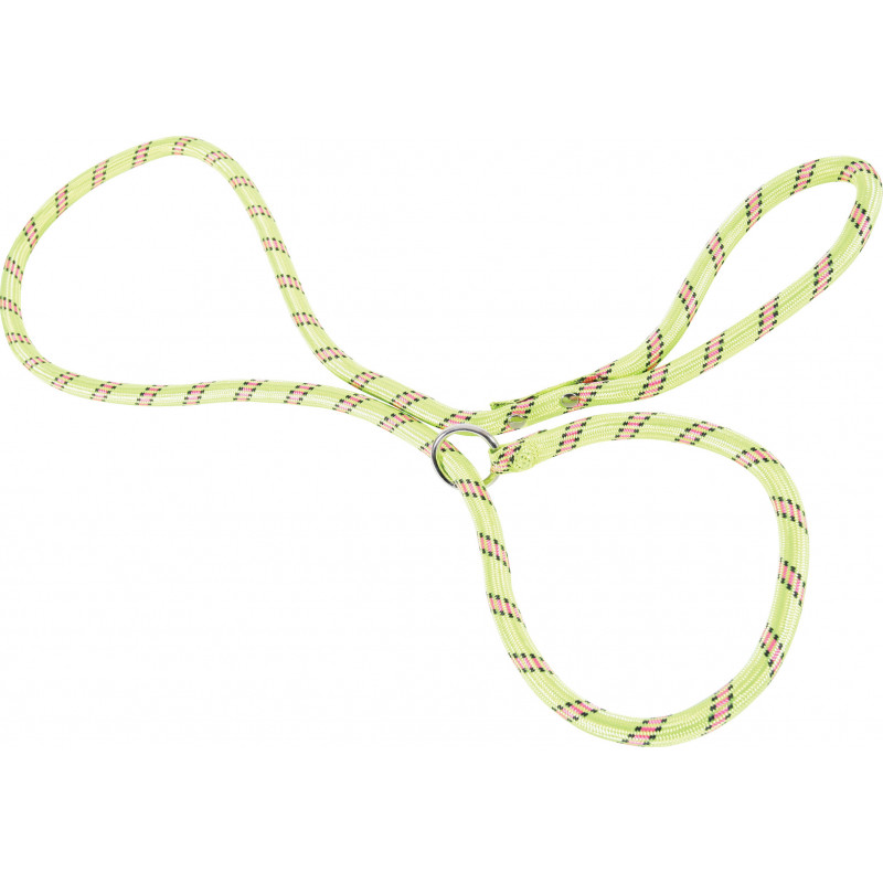 Laisse nylon lasso vert anis - ZOLUX 