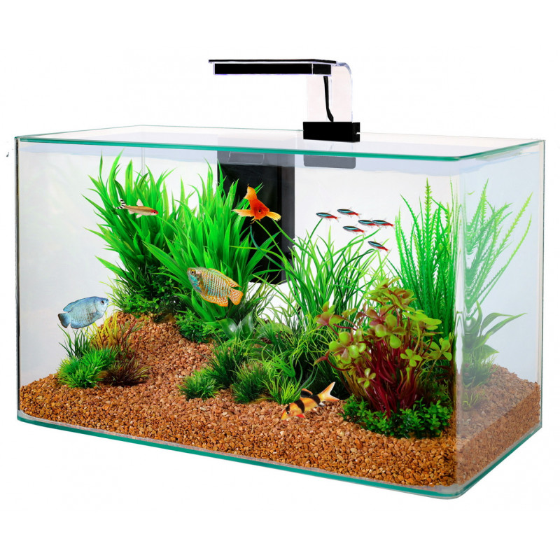 Kit aqua clear 50 noir - ZOLUX 