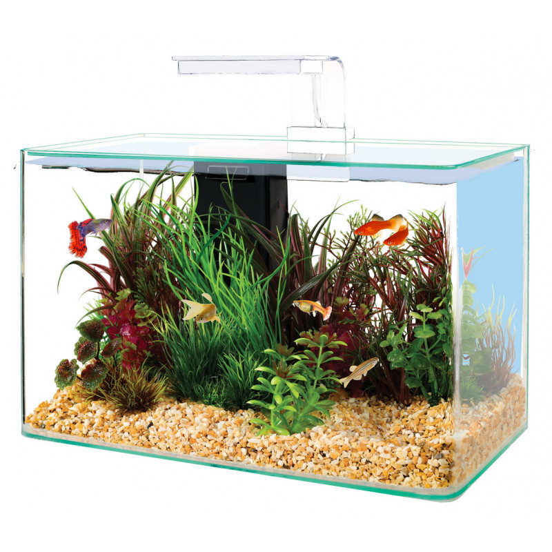 Aquarium Poisson Équipé 20 Litres Scalaire 40 Blanc - Capac