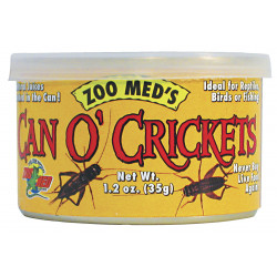 Nourriture 60 crickets 35g - ZOOMED 