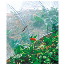 Filet anti-insectes biocontrol 2.20x10m - NORTENE 