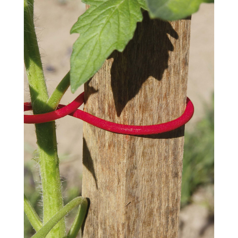 Clips tomatoclips 25 6.2cm rouge - NORTENE 