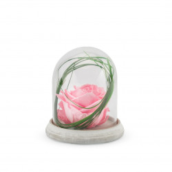 Verrine stab cloche cim s rose pastel - NATURALYS 