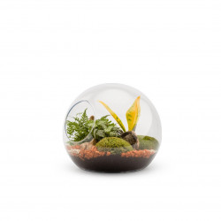 Terra vivant honua m mix - NATURALYS 
