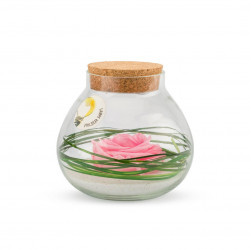 Verrine stab bulle light s rose pastel - NATURALYS 
