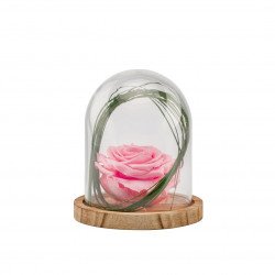 Verrine stab cloche s bois rose pastel - NATURALYS 