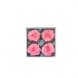 Tete rose premium rose pastel (x4) - NATURALYS 