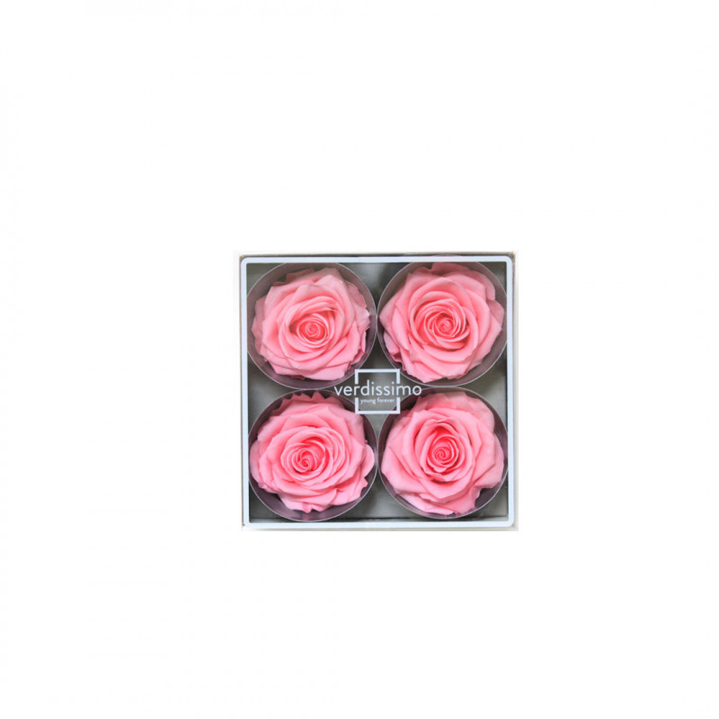 Tete rose premium rose pastel (x4) - NATURALYS 