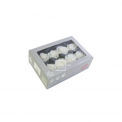 Tete rose media blanc (x8) - NATURALYS 