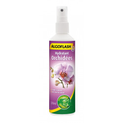 Hydratant orchidée - ALGOFLASH