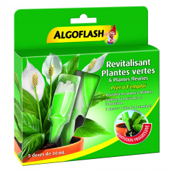 Revitalisant plantes verte&fleurie 5 doses - ALGOFLASH 