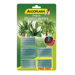 Engrais bâtonnets plantes vertes x25 - ALGOFLASH 
