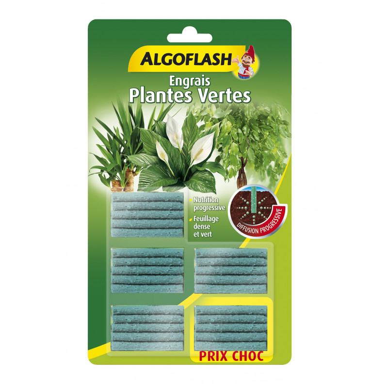 Engrais bâtonnets plantes vertes x25 - ALGOFLASH 